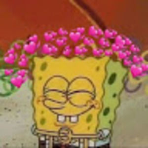 Meet your Posher, Miya